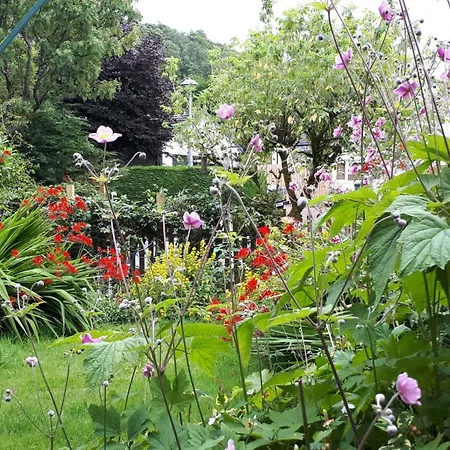 Red Robin - With Parking For One Car * 安布尔塞德